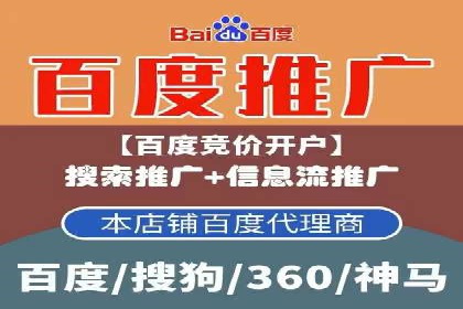 行业领先SEM服务公司案例研究